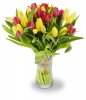 букет тюльпанов красные - желтые Луиза