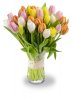 kytice tulipánů Audrey