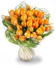 a bouquet of orange Matthias tulips