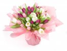 bouquet of tulips Tulipe