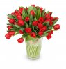 bouquet of red Victoria tulips