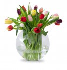 Tulipány na přání