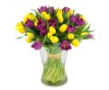 букет тюльпанов фиолетово-желтых Лина