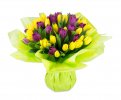 kytice tulipánů fialovo - žlutá  Augustine