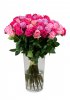 bouquet of Ecuadorian roses 80 cm Michele