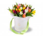 Květinový box z tulipánů Arabela