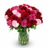 bouquet of roses Juliette