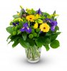 bouquet of Albin spring flowers