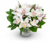 bouquet of Cécile orchids
