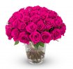 bouquet of roses Elie