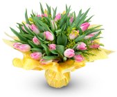 kytice růžových tulipánů Justyne