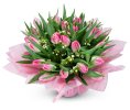 a bouquet of pink Florine tulips