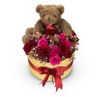 Květinový box Brown Teddy