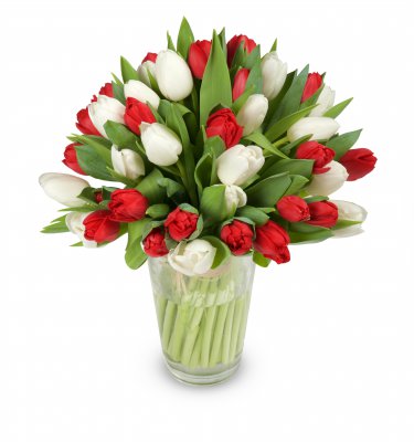 Killian - kytice tulipánů