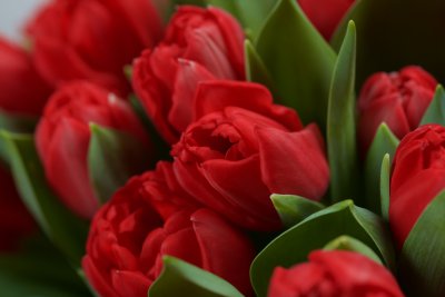 Victorie detail - kytice z tulipánů