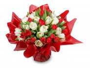 kytice tulipánů červeno - bílá Raissa