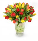 bouquet of tulips Nina