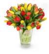 Nina - kytice tulipány