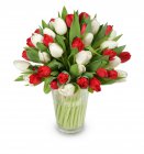 букет тюльпанов красные - белые Киллиан