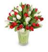 Killian - kytice tulipány