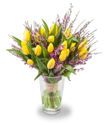 Pierre - kytice tulipánů