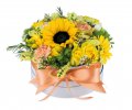 Box of flowers Soleil