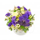 Box of flowers Violet