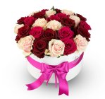 Květinový box Dolce rosa