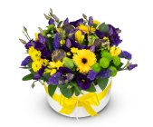 Box of flowers Albin